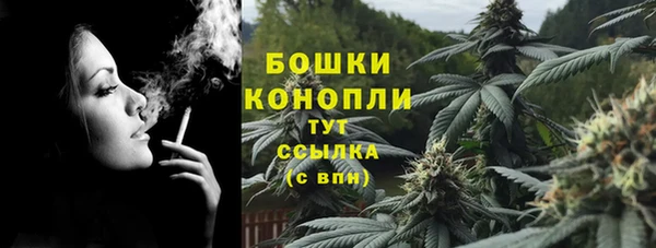 трава Арсеньев
