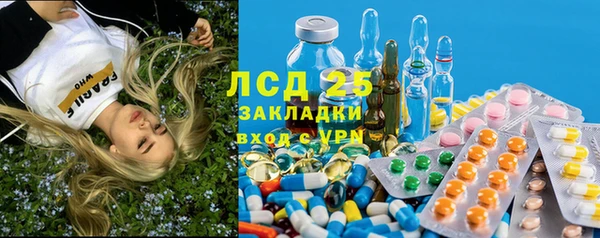 трава Арсеньев