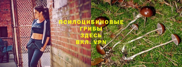 мдпв Армянск