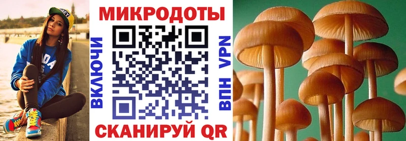 Галлюциногенные грибы MAGIC MUSHROOMS  купить наркотики сайты  Нефтекумск 